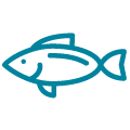 Icona pesce